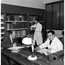 Ecole Nationale Supérieure d'Electrotechnique, d'Electronique et d'Hydraulique de Toulouse : des enseignants effectuent des recherches dans la bibliothèque.