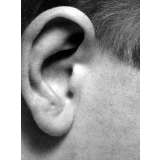 Enseignement audio-visuel. Gros plan sur une oreille...