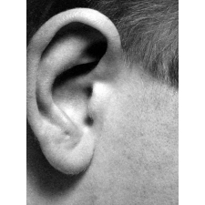 Enseignement audio-visuel. Gros plan sur une oreille...