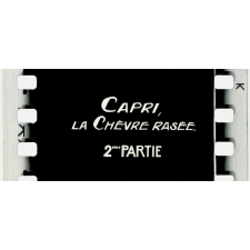 Capri, la chèvre rasée.
