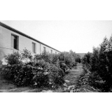 Pensionnat St-Augustin, Bouisseville près Oran. (Algérie).