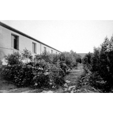 Pensionnat St-Augustin, Bouisseville près Oran. (Algérie).
