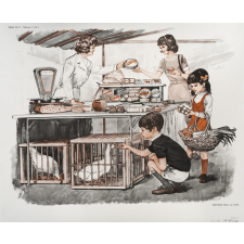Tableaux de langage. Série IM. n° 23c : achat d'une veste. N° 24c : au marché (chez la crémière).
