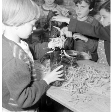 Coopératives scolaires : école primaire d'Argenteuil, le tilleul