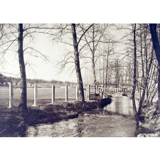 Ecole Primaire Supérieure & Professionnelle de Garçons de chasseneuil. (Charente) - Année Scolaire 1934-1935. 