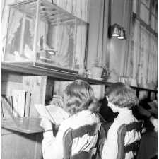 Lycée Edgar Quinet, la bibliothèque. L'alignement des élèves en pleine lecture.