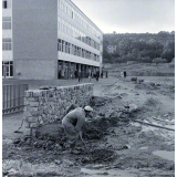 Rentrée scolaire au nouveau lycée-collège d'Orsay : Les travaux de terrassement