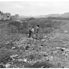 Club des Réglisses : La zone