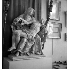 I.P.N. : exposition