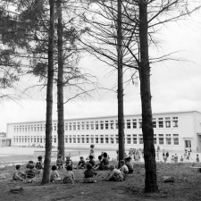 Groupe scolaire du Vigenal à Limoges : vue générale des bâtiments scolaires