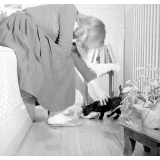 Institution publique d'éducation surveillée : vie familiale à l'internat. Janine dans sa chambre avec son chat. 