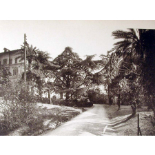 Ecole Masséna, 2, Boulevard de Cimiez. Nice. 1931-1932.