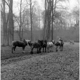 Parc Jean-Jacques Rousseau à Ermenonville