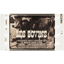 Les Bovins.