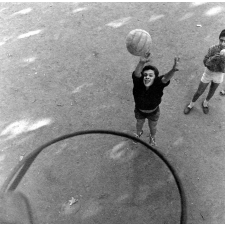 Œuvre de protection des enfants juifs : Panier de basket