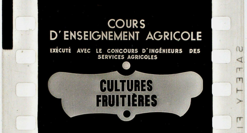 Cultures fruitières.