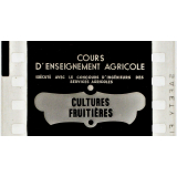 Cultures fruitières.