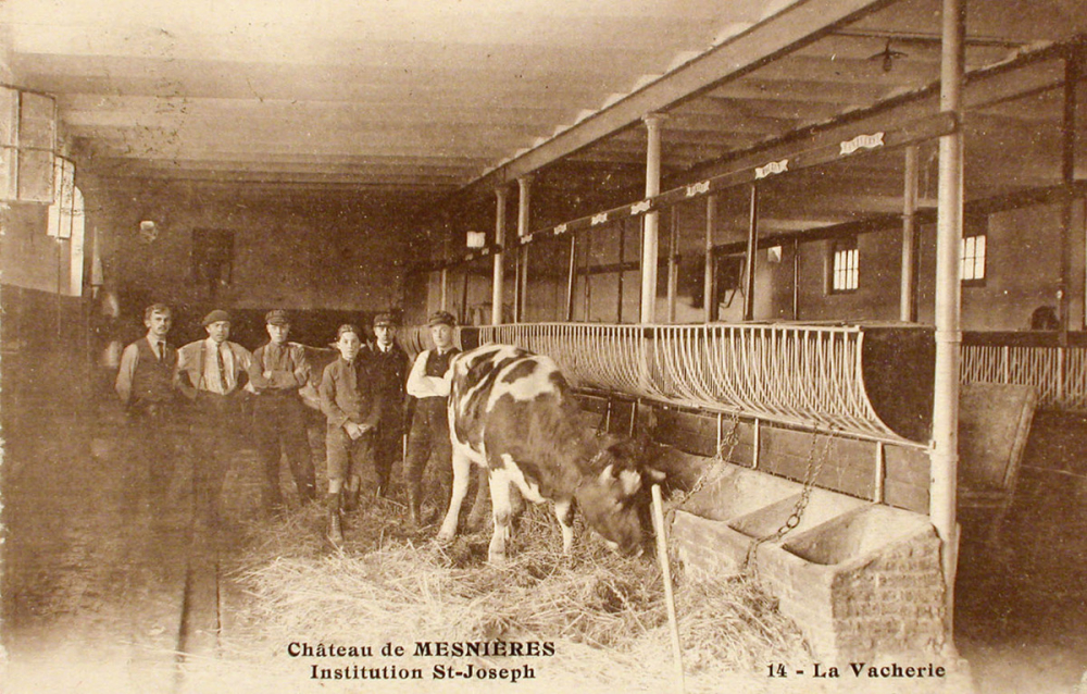 Château de Mesnières - Institution St-Joseph - 14 - La Vacherie.
