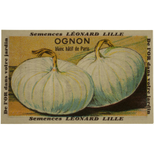 Légumes et Fleurs