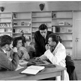 Lycée de Montgeron, la bibliothèque : la lecture.