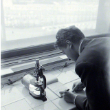 Faculté de médecine et de pharmacie. Un étudiant note ses observations effectuées au microscope