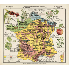 Tableau mural. Carte de géographie économique et agricole de la France : les boissons (vignobles, pays à cidre et à bière).
