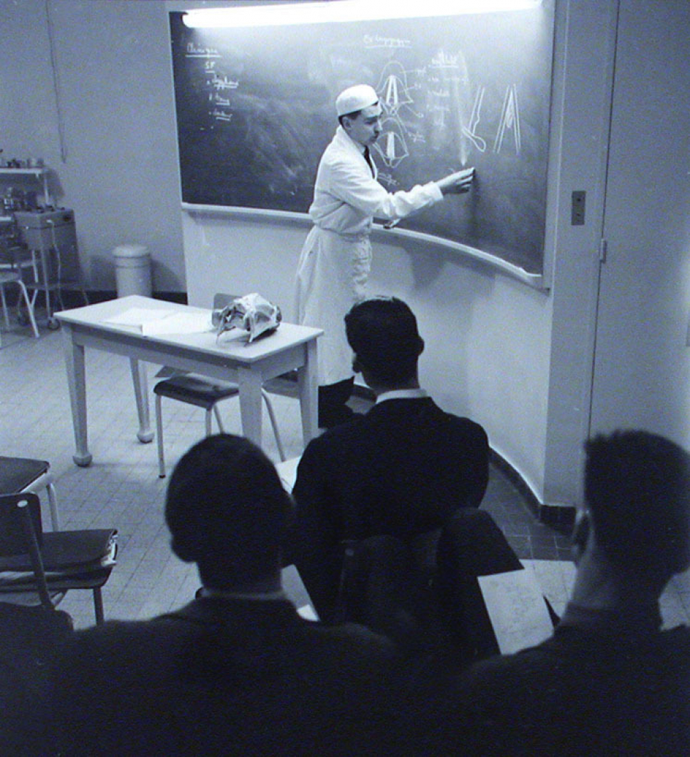 Faculté de médecine et de pharmacie : Au tableau noir, analyse de la gorge