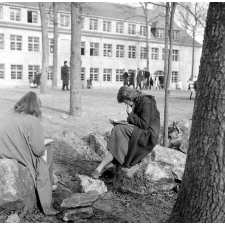 Lycée-pilote mixte de Montgeron. Des élèves lisent dans le parc du lycée.