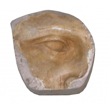 Moulage en plâtre. Oeil du buste de Voltaire de Houdon.