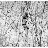Ecole Freinet, classe promenade : un élève dans un arbre, vu de profil.