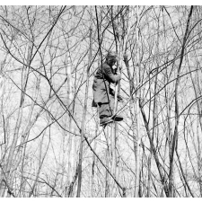 Ecole Freinet, classe promenade : un élève dans un arbre, vu de profil.