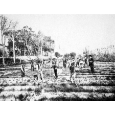 Collège de Mostaganem. 1913. (Algérie).