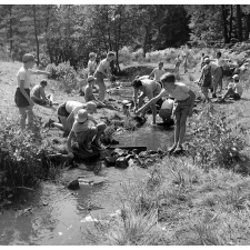 Colonie sanitaire de Montboissier : la pêche aux écrevisses
