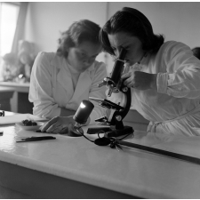 Lycée Le Verrier : deux élèves utilisent un microscope.