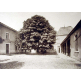 Ecole Primaire Supérieure de Jeunes Filles de Châtillon-sur-Chalaronne (Ain).