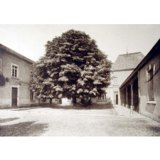 Ecole Primaire Supérieure de Jeunes Filles de Châtillon-sur-Chalaronne (Ain).