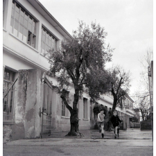 Centre Universitaire Méditerranéen : Nice : Bâtiments divers