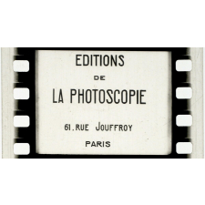 A.E.F. La forêt. II.