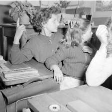 Coopératives scolaires : école primaire d'Argenteuil