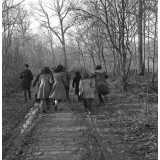 Ecole Freinet, classe promenade : dix élèves, garçons et filles, déambulent sur un chemin forestier.