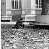 Institut départemental des Aveugles de la Seine (Ecole Braille).
 L'enseignement destiné aux aveugles. Un élève dans la cour.