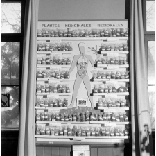 Coopératives scolaires : école du Bas-Rhin, exposition