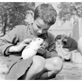 Institut départemental des Aveugles de la Seine (Ecole Braille).
 L'enseignement destiné aux aveugles. Un élève avec un cochon d'Inde dans la cour.