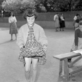 Coopératives scolaires : école d'Argenteuil, récolte du tilleul