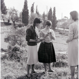 Sanatorium des étudiantes : Vence : Jardin : Botanique appliquée
