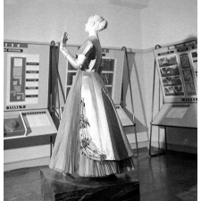 I.P.N. : exposition (une robe)