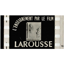 Géographie. G8. Côtes de l'Atlantique.