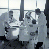 Faculté de médecine et de pharmacie : Observation des clichés radiologiques d'un crâne