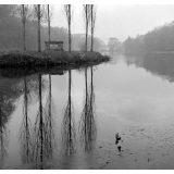 Parc Jean-Jacques Rousseau à Ermenonville