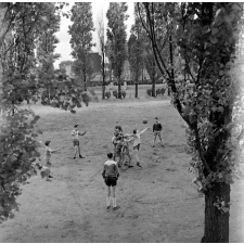 Pratique du sport sur un stade parisien : les élèves effectuent exercices et jeux.